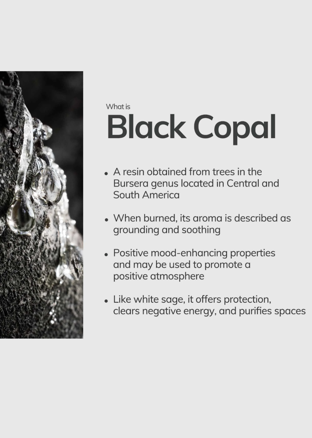 Benefits of Black Copal resin for grounding and purification.