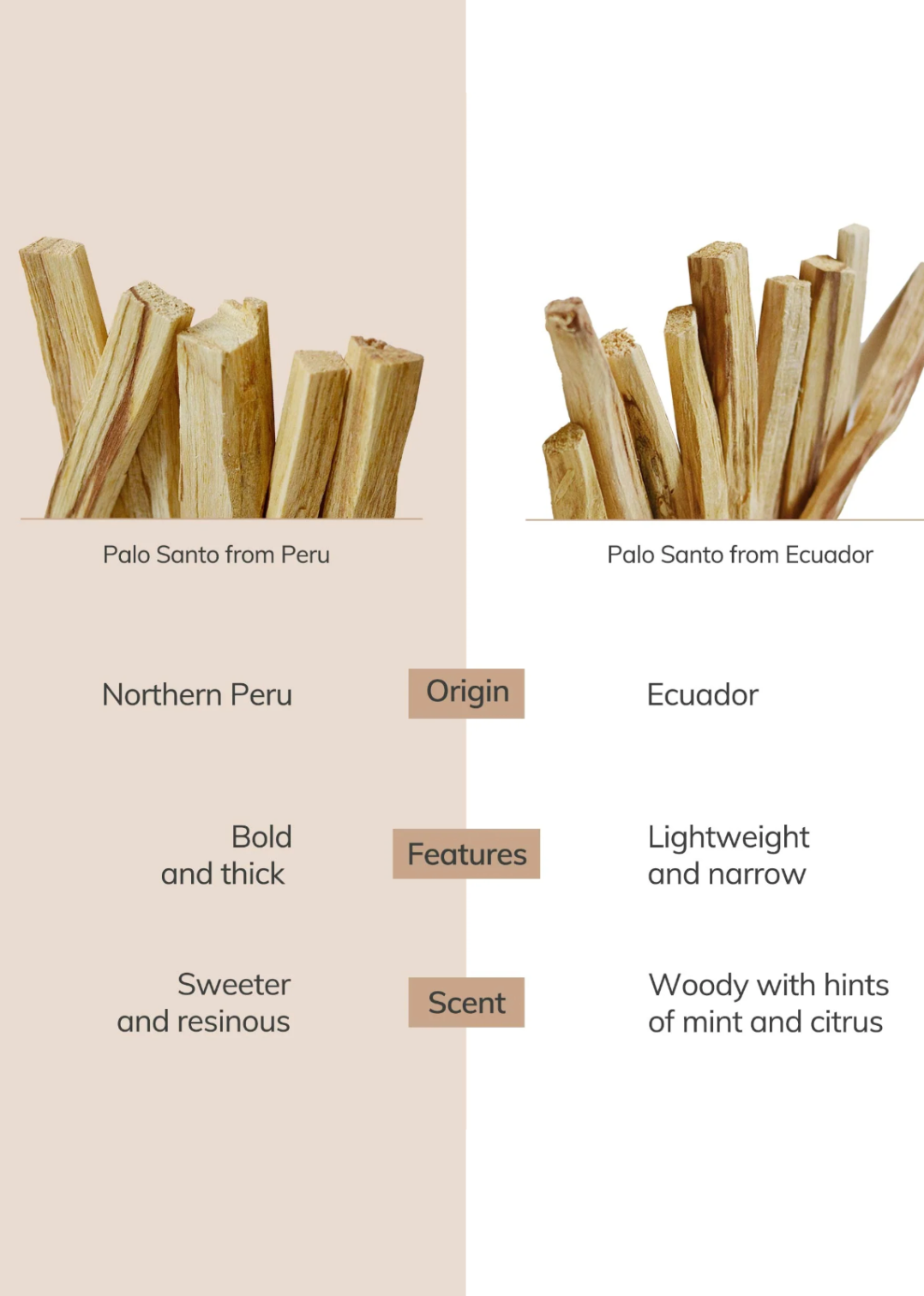 Photo showing the difference between our Peruvian and Ecuadorian Palo Santo sticks, perfect for smudging rituals and creating a peaceful atmosphere.