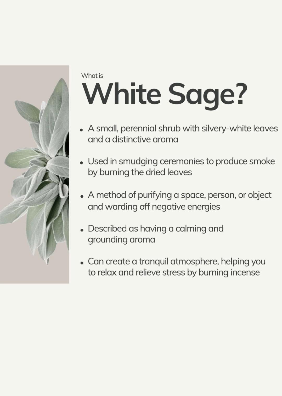 Mini White Sage incense designed for smudging, meditation, and spiritual renewal.