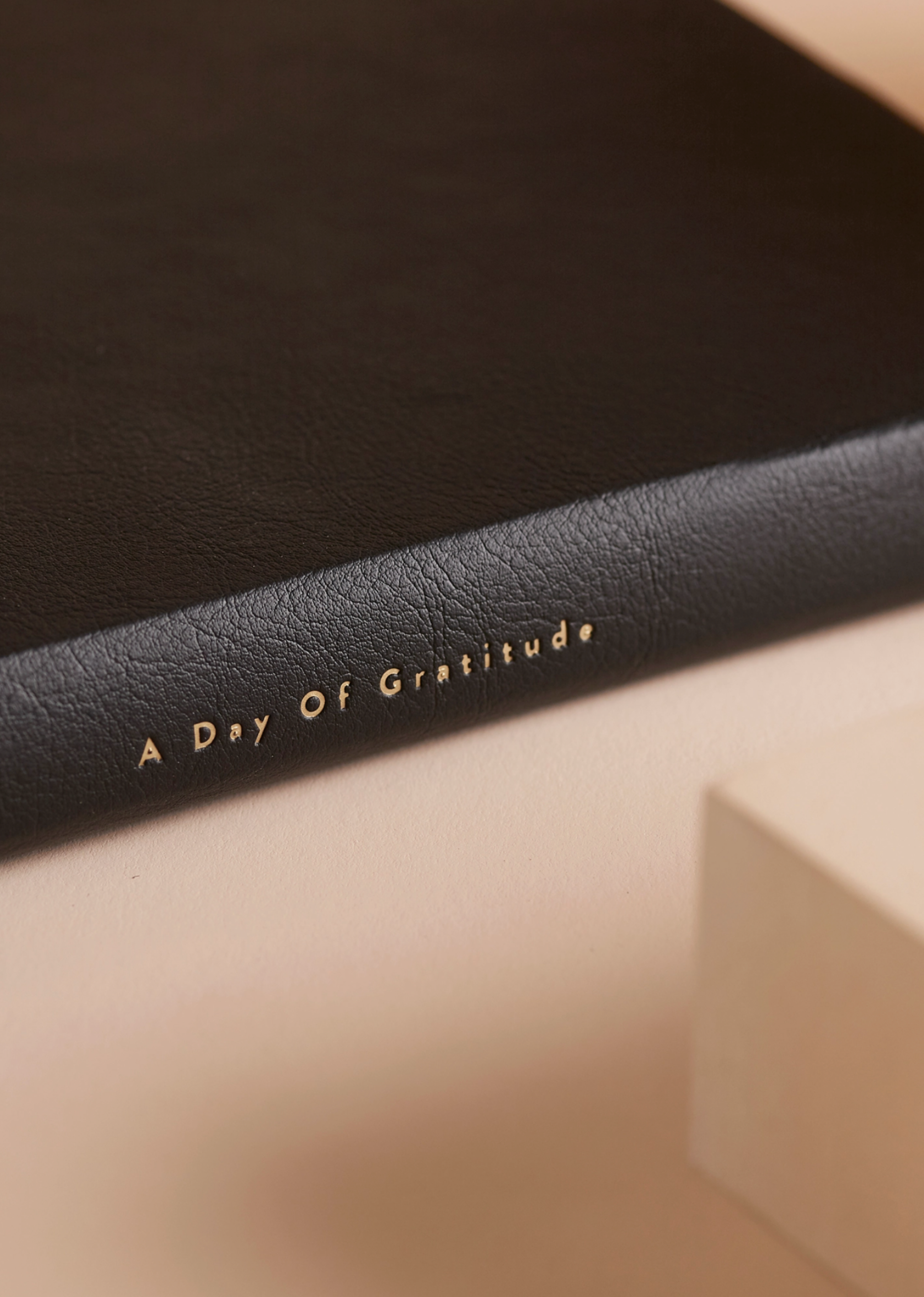 Stylish daily gratitude journal encouraging positivity and mindfulness.